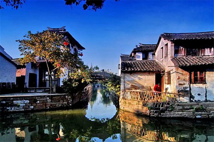 除虫大师
